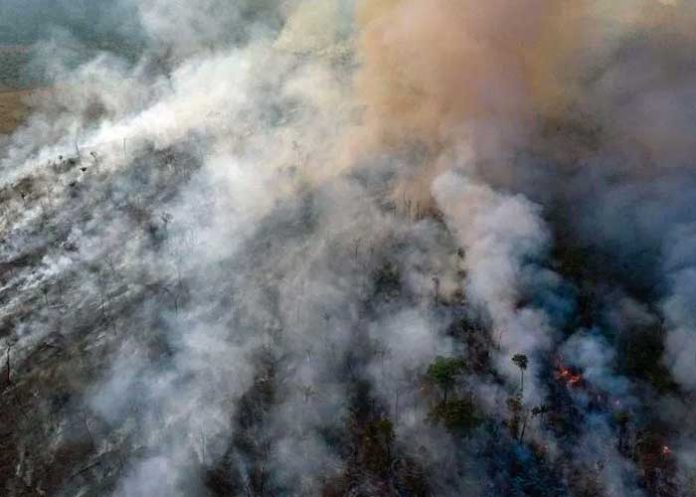 brasil-rechaza-canada canada