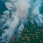 Brasil: Incendios amenazan gigantesco humedal con la mayor reserva de jaguares brasil
