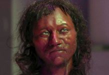 El primer hombre británico tenía rasgos muy peculiares, según estudio