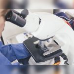 brote de listeriosis