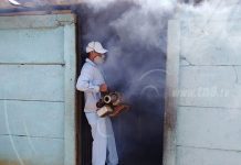nicaragua