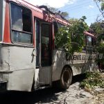 Fuertes vientos provocan que árbol caiga sobre bus con pasajeros en León