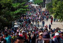 «Caravana migrante fue formada por intereses políticos», dice el embajador de Honduras mexico