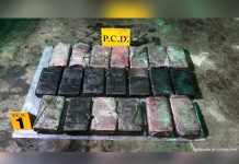 Costa Rica: Policía captura a sujetos que trasladaban medio millón de dólares y cocaína en 2 furgones costa rica