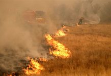 Al menos 1,000 desaparecidos y 71 muertos tras incendios en California estados unidos