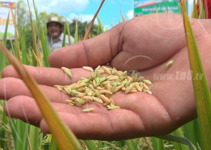 c3_KtgYU4J nicaragua