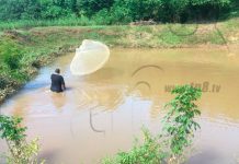 Chinandega: Proyecto Cultivo de Tilapia nueva alternativa para el productor nicaragua