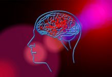 En qué momentos del día tu cerebro es más eficiente japon