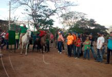 carreras de caballos