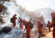 Ya suman 56 los muertos y 130 desaparecidos por incendio en el norte de California estados unidos