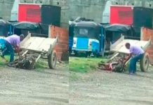 Brutal maltrato a caballo porque no se ponia de pies causa indignacion brutal