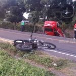 Semovientes provocan doble accidente en San Isidro, Matagalpa nicaragua