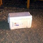 Dejan cabeza cortada frente a redacción de diario mexicano mexico