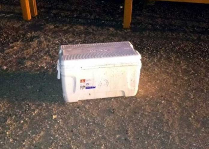 cabeza_jYuI2xM mexico