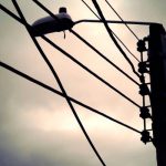 Joven fallece electrocutado en El Jícaro nicaragua