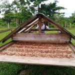 Galeras y herramientas para secado de cacao en La Dama nicaragua
