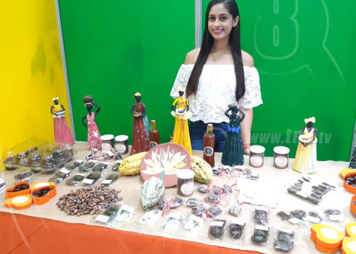 cacao-oferta-nicaragua-03 nicaragua