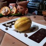 Cacao en Nicaragua resalta en campaña internacional por su excelente calidad nicaragua