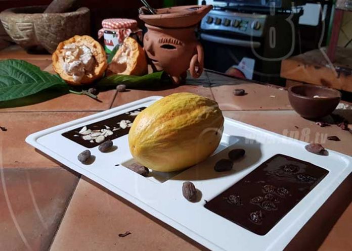 cacao-os-uno nicaragua