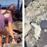 Estados Unidos: Hallan cadáver en maleta mientras grababan TikTok estados unidos