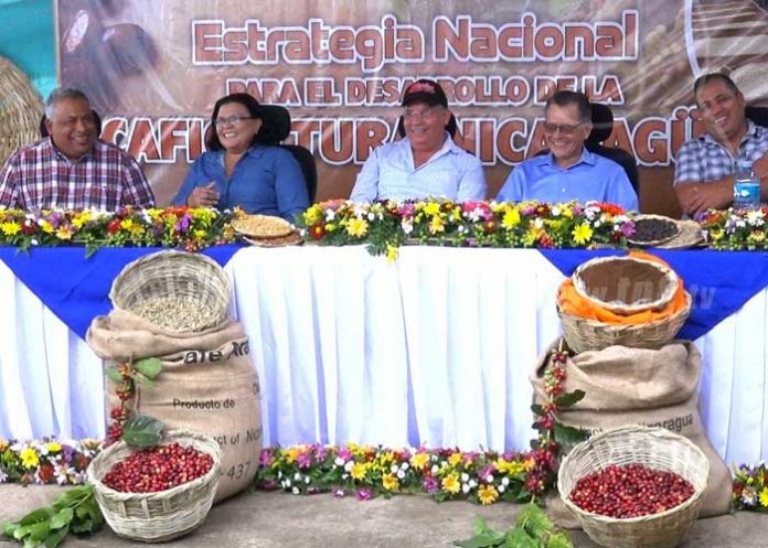 cafe-1_bXQZWz7 nicaragua