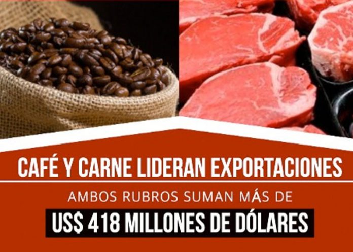 cafe-bovino-01 nicaragua