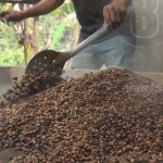 NICADAPTA fortalece más cooperativas en el departamento de Madriz nicaragua