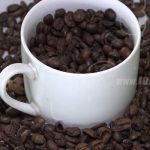 ¿Sabías que en la Isla de Ometepe se produce café de calidad? nicaragua