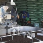 Millonaria inversión para mejorar la exportación de café en Madriz nicaragua