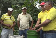 Productores de café de Nueva Segovia buscan mejorar rendimiento, calidad y mercado nicaragua