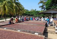 Nicaragua participa en encuentro por la sostenibilidad del café en Bogotá nicaragua