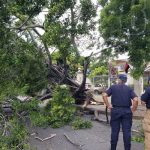 Frondoso árbol cae sobre vehículo en El Redentor, Managua nicaragua