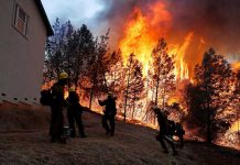 Incendio del norte de California ya es el más destructivo de su historia estados unidos