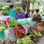 Realizan Congreso de Producción de Plátano en la Isla de Ometepe nicaragua