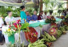 Realizan Congreso de Producción de Plátano en la Isla de Ometepe nicaragua
