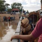 14 muertos y 200 hospitalizados por envenenamiento en Camboya camboya