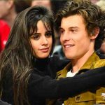 Entrar a robar en casa de Camila Cabello y Shawn Mendes en Los Ángeles estados unidos