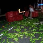 Desperfectos mecánicos en camión provoca vuelco en carretera Nueva a León nicaragua