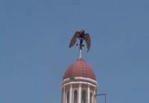 Viral: Captan a extraña criatura en cúpula de la Catedral de Granada nicaragua