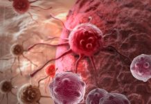 Una nueva estrategia para ganarle al cancer: El engaño