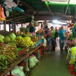 Reportan estabilidad en 15 productos de la canasta básica nicaragua