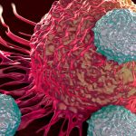 Nuevos avances y esperanzadores contra el cáncer avances