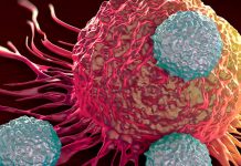 Nuevos avances y esperanzadores contra el cáncer avances