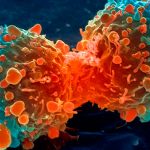 Nuevos datos reveladores sobre el origen del cáncer cancer