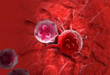 Crean un fármaco que bloquea un gen clave en cáncer crean