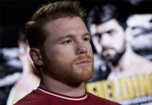 Canelo no piensa en Triple G, va por 3er título canelo