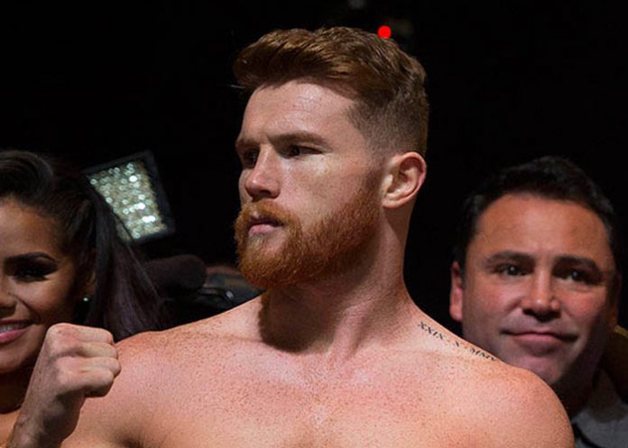 canelo_e8TF4Dl saul