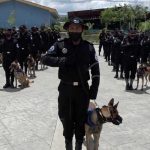 Nicaragua gradúa a 40 guías caninos de la DOEP nicaragua