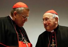 Cardenales denuncian una «plaga de la agenda homosexual en la Iglesia» roma