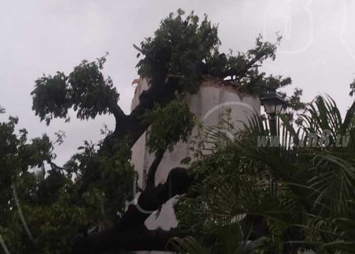 caribe-madera-83 nicaragua